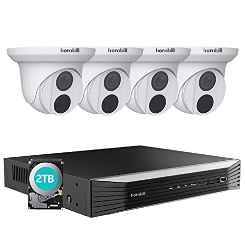 4K PoE Security Camera System,Hornbill 8MP Security Camera System 8 Channels Expandable, 4pcs 4K Dome Cameras for Home Surveillance,Indoor Outdoor Camera System with 2TB Hard Disk, Free Remote Access